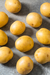Organic Raw Yellow Potatoes
