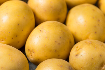 Organic Raw Yellow Potatoes