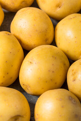 Organic Raw Yellow Potatoes