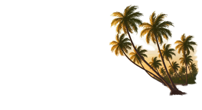 Golden Sunset Palms Tropical Beach Paradise Warm Glow