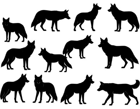 Black silhouettes of canids arranged against a solid white backdrop