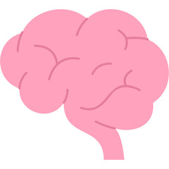 Brain Illustration