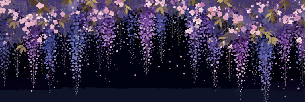 Elegante Vektor-Illustration von herabh&auml;ngenden Glyzinienbl&uuml;ten in Lila- und Rosat&ouml;nen, die eine anmutige florale Bord&uuml;re auf dunklem Grund bilden.