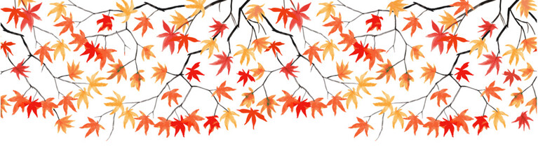 Seamless border pattern on a white background. Vector Maple tree branch with autumn leaves