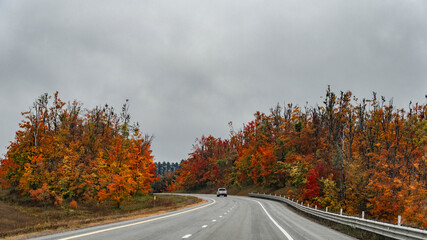 Fototapeta premium Highway in autumn forest