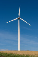 wind turbines in the field