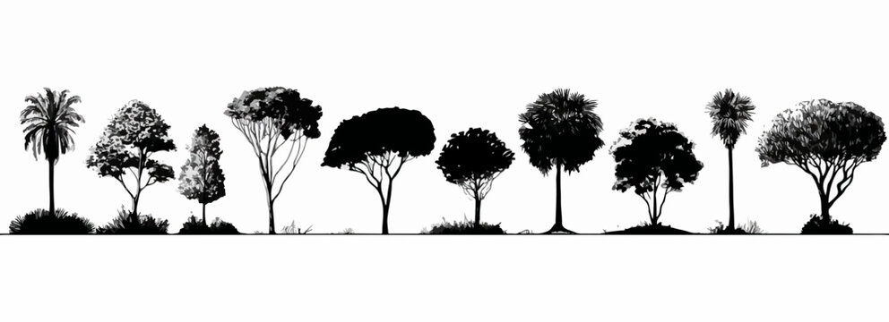 Ilustraci&oacute;n vectorial de diferentes especies arb&oacute;reas, ofreciendo un recurso gr&aacute;fico vers&aacute;til para proyectos ambientales y de dise&ntilde;o.