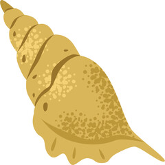 A Detailed Illustration Of A Golden Spiral Seashell With A Transparent Background And A Textured Surface