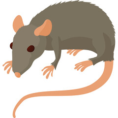 A detailed illustration of a grey rat with pink ears and tail on a transparent background showcasing its rodent features and simple design perfect for educational or conceptual purposes