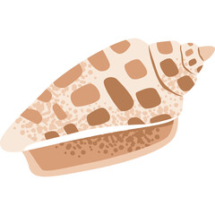 A detailed illustration of a light brown seashell with a patterned exterior and a textured interior on a clean white background