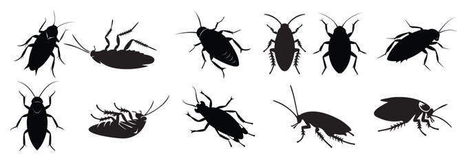 Set of Black silhouettes of cockroaches isolated on white background. Black and white illustration. Icon, sign, pictogram. Pest control and infestation concept for design, print, educational material