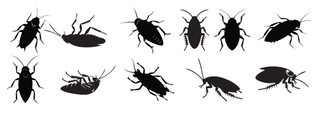 Set of Black silhouettes of cockroaches isolated on white background. Black and white illustration. Icon, sign, pictogram. Pest control and infestation concept for design, print, educational material