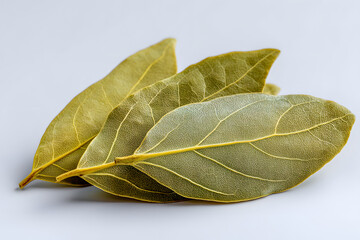 Obraz premium Whole Dried Bay Leaves Arranged on a Clean Background for Culinary Use and Spice Decoration