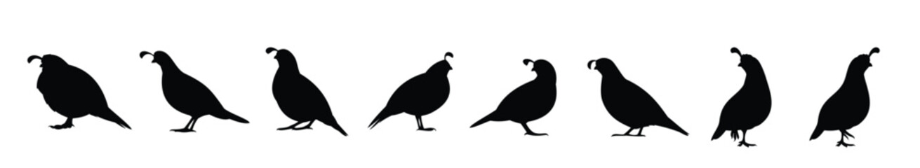 standing quail silhouette vector