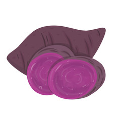 Purple Sweet Potato Illustration. Whole and sliced tubers with vibrant purple flesh. Healthy root vegetable vector.