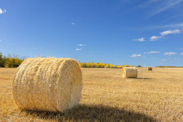 bales of straw