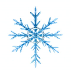 vector illustration of a snowflake