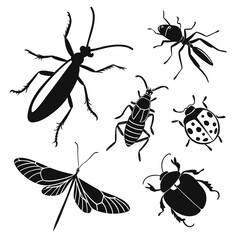 Black Insect Silhouettes Collection on White Background 1