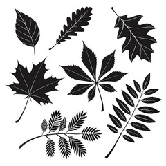 Black silhouette autumn leaves collection on white background