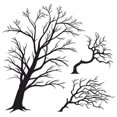 Black silhouette bare trees on white background branches 1