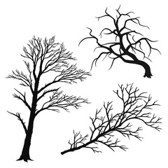 Black Silhouette Bare Trees on White Background branches