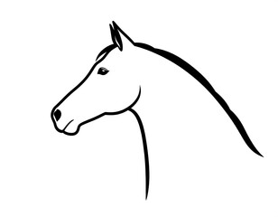 Simple side profile outline of a horse head in black