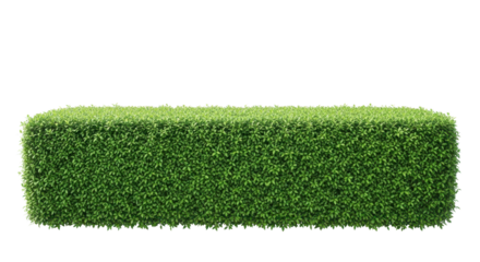Boxwood hedge rectangle for landscaping design isolated PNG with Transparent Background