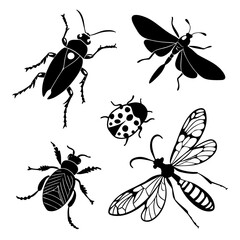 Five Black Silhouettes of Insects on White Background