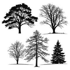 Obraz premium Five black tree silhouettes on white background nature