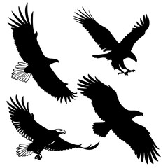 Four black eagle silhouettes in flight bird flying