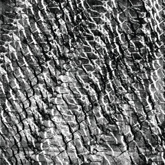 Black and white grungy abstract background.  Vector illustration
