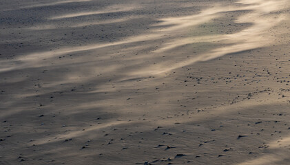 Wind blowing sand across beach in soft morning light
