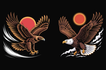Obraz premium Two Eagles Flying with Red Sun and Smoke Against Black Background bird soaring