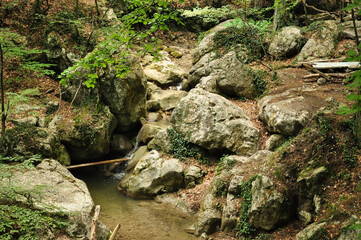 Fototapeta premium A small water pool among forest rocks and greenery — a secluded spot for rest, surrounded by wilderness and the sounds of the forest.