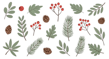 A collection of hand-drawn winter botanical elements including pine branches, red berries, and various leaves on a white background.