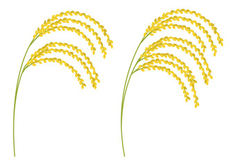 色々な垂れた稲穂のイメージイラストのセット_葉なし
