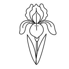 cute flower, hand drawn vector illustration 