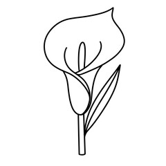 cute flower, hand drawn vector illustration 