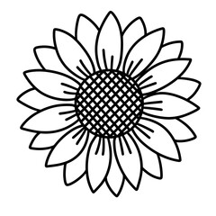 cute flower, hand drawn vector illustration 