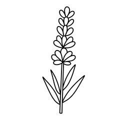 cute flower, hand drawn vector illustration 