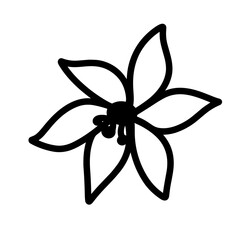 cute flower, hand drawn vector illustration 