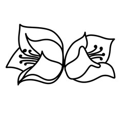 cute flower, hand drawn vector illustration 