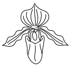 cute flower, hand drawn vector illustration 