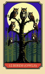 Obraz premium The owls (birds). A comic-style fantasy card from the Lenormand Oracle deck. The classic 5:3 ratio for divination cards.