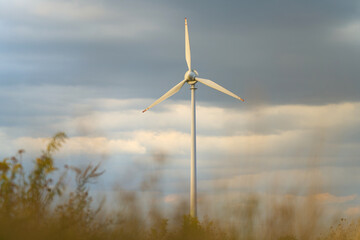 Fototapeta premium Eco friendly wind energy source in nature