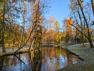 Landscape of autumn forest and river on a sunny day