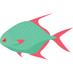 Teal Fish With Pink Fins And Orange Eye Detailed Scales Side View Ocean Life Illustration Against White Background