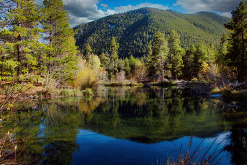 Beautiful Fall Foliage near the Bridge at Wild Bill Lake in the Custer National Forest above Red Lodge Montana.