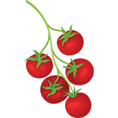 Vine Tomatoes With Green Stems On A Transparent Background Representing Freshness And Healthy Eating