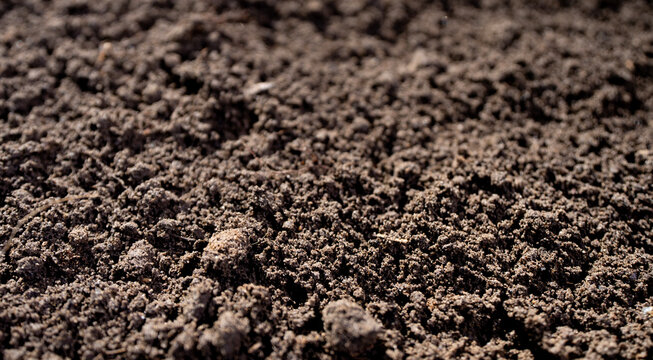 Fertile farm soil. Topsoil with humus and clay. Cultivated ground in rural farm field. Freshly plowed earth. Organic compost mixed into farm soil. Fertile soil. Groundwork and soil for cultivation.